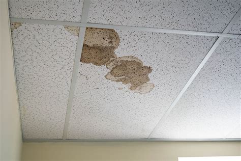 brown stain on ceiling but no leak|Brown Stain on Ceiling But No Leak: Causes and。